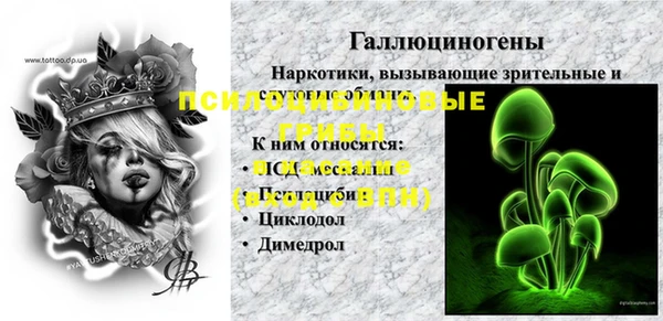 ПСИЛОЦИБИНОВЫЕ ГРИБЫ Наволоки