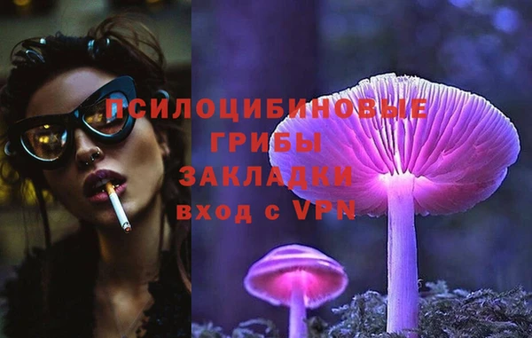 ПСИЛОЦИБИНОВЫЕ ГРИБЫ Наволоки