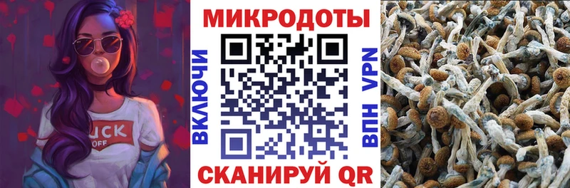 Псилоцибиновые грибы мухоморы  Купить  Анадырь 