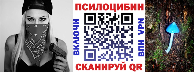 Псилоцибиновые грибы Psilocybe Анадырь